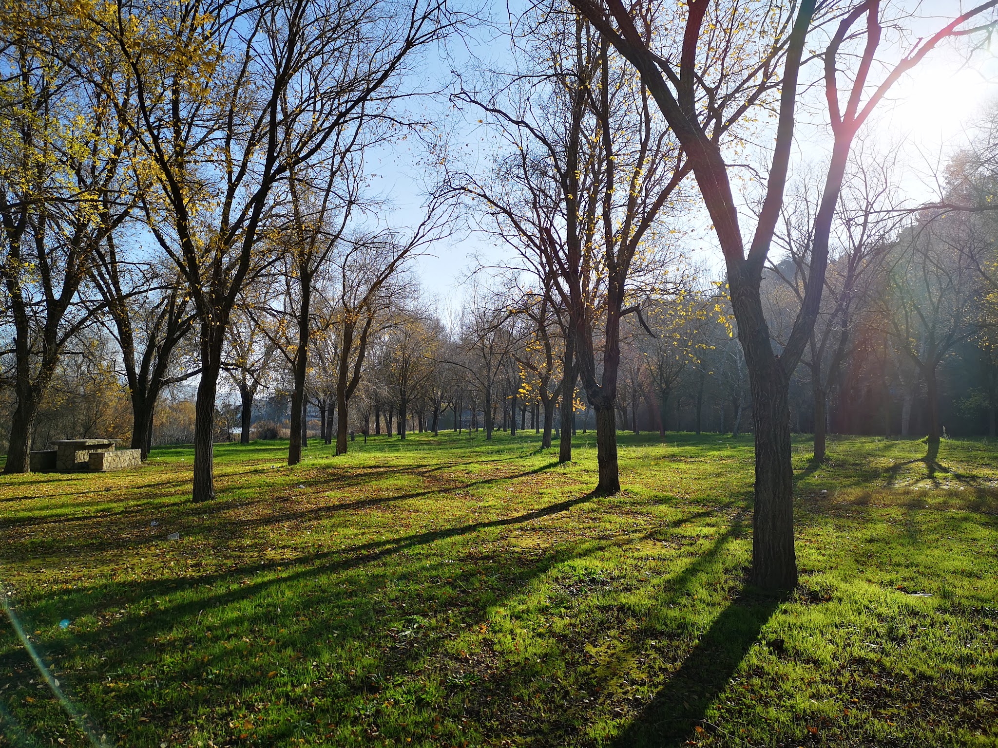 Còpia de CFGM installacions elèctriques i automàtiques david muñoz colors 1