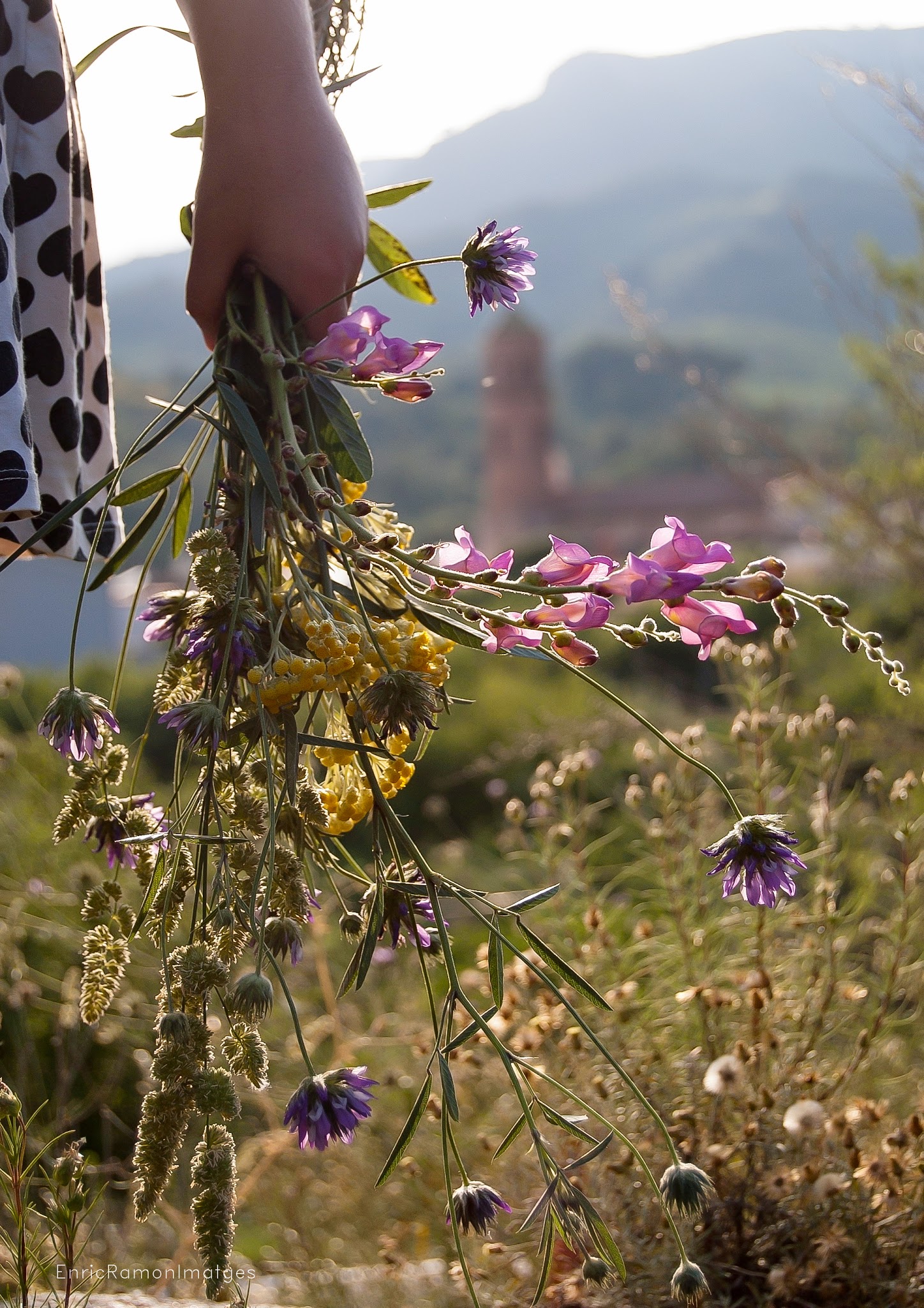 Còpia de CategoriaC Enric Guim Primavera
