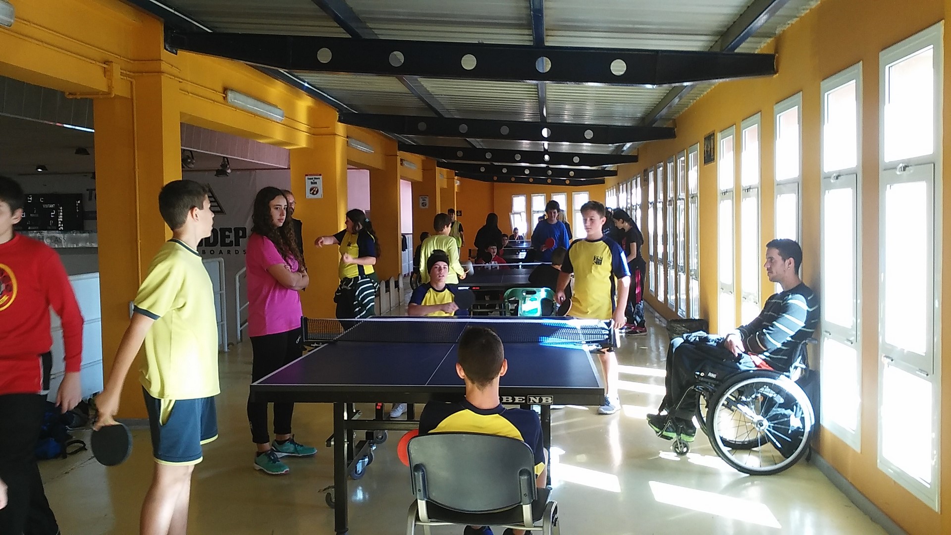 discapacitats 2 Copiar