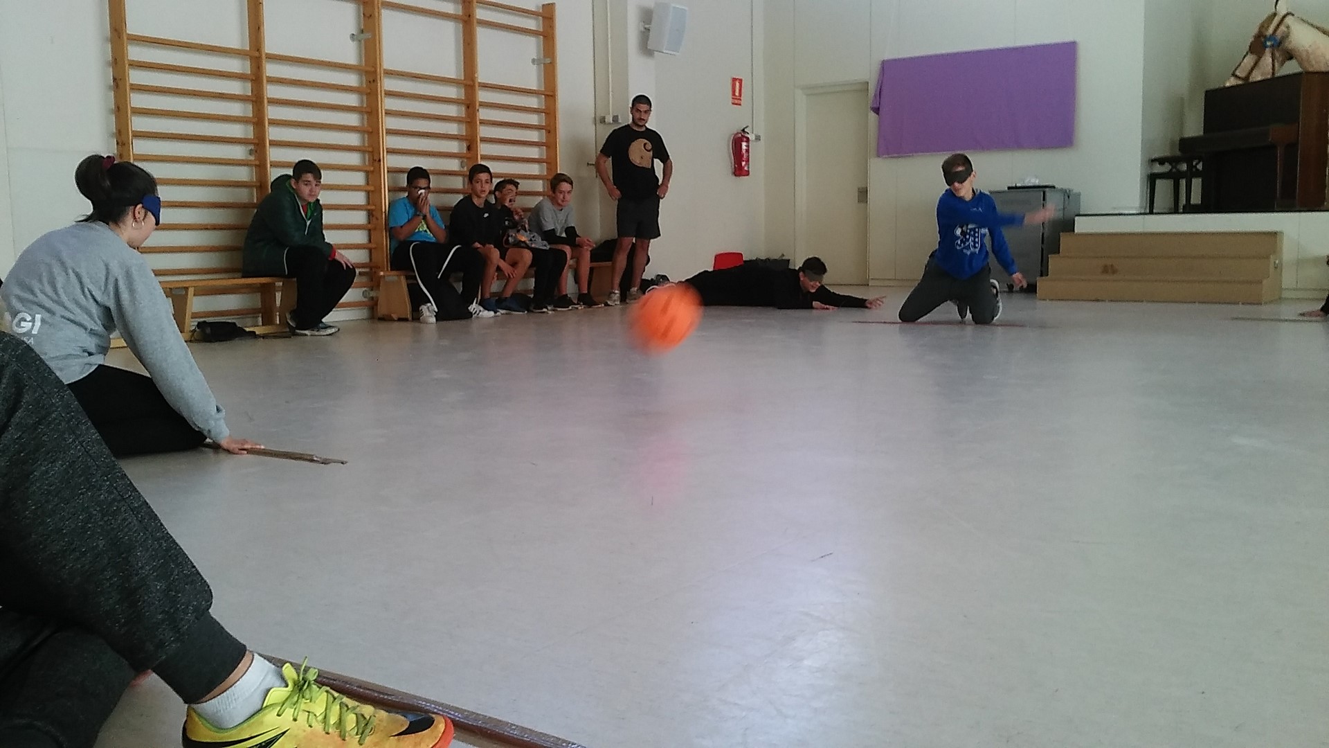 discapacitats 5 Copiar