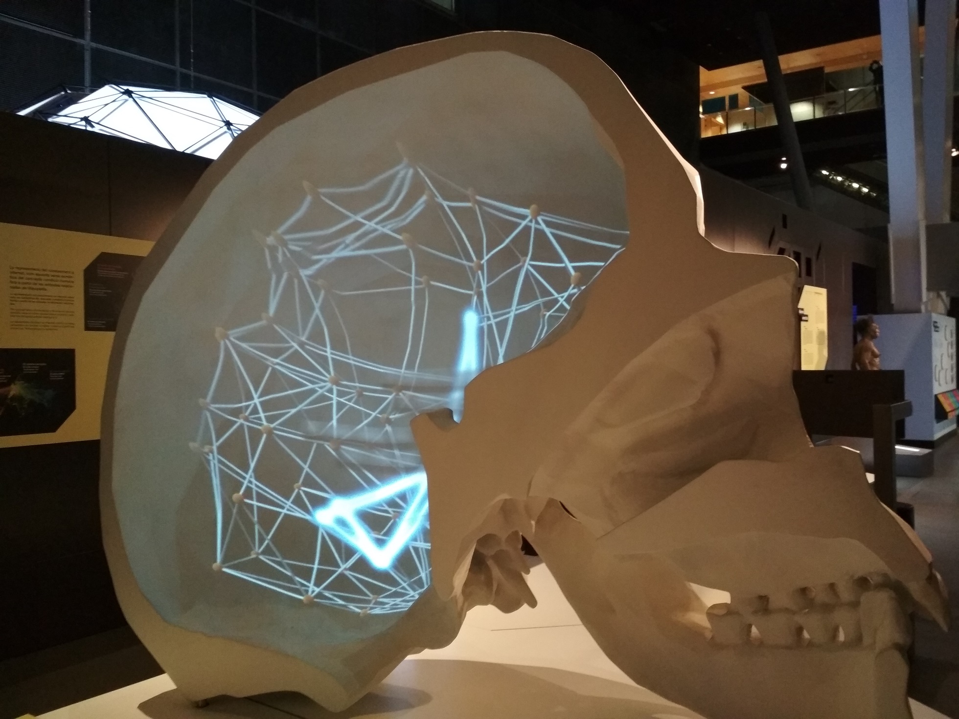 CAI COSMOCAIXA DANONE 2