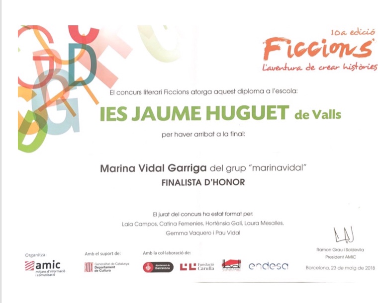 ficcions diploma ins